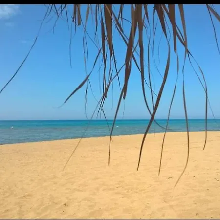 Welcome To Paradise! קאקובטוס