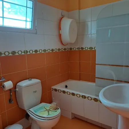 Welcome To Paradise! קאקובטוס