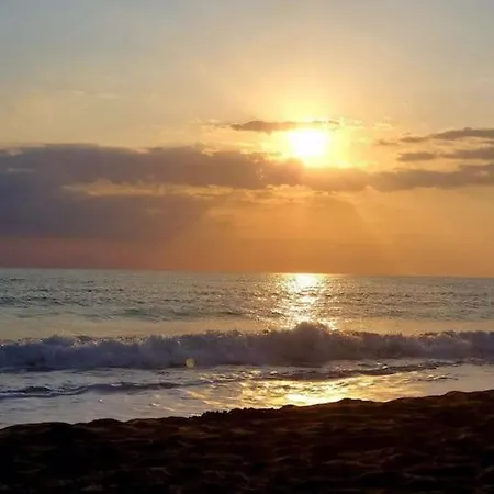 Welcome To Paradise! בית נופש