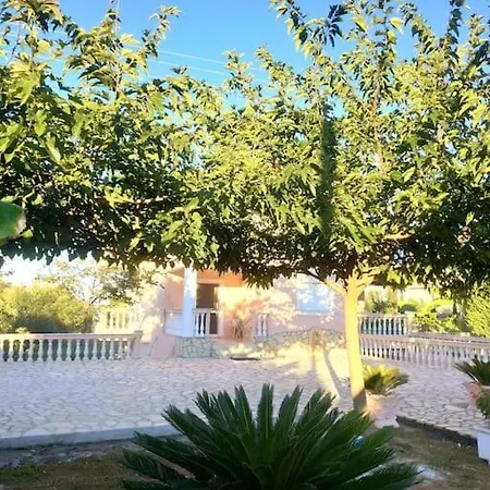 Welcome To Paradise! בית נופש קאקובטוס