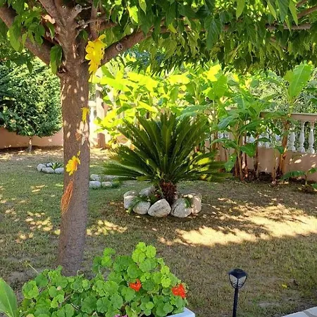 Welcome To Paradise! * קאקובטוס